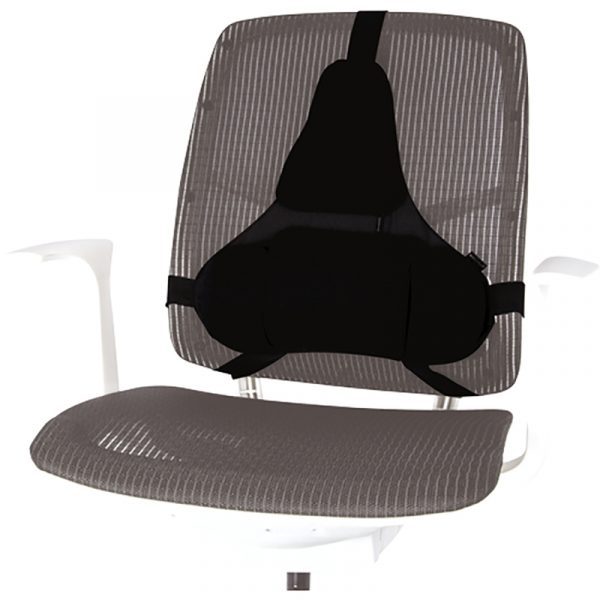 8041801 proseries ultimate backsupport l png 1